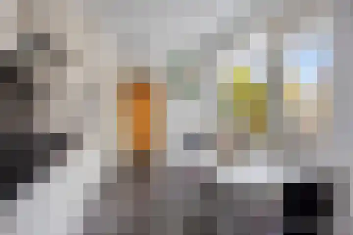 Aldengoor 23 Almelo thumbnail 14