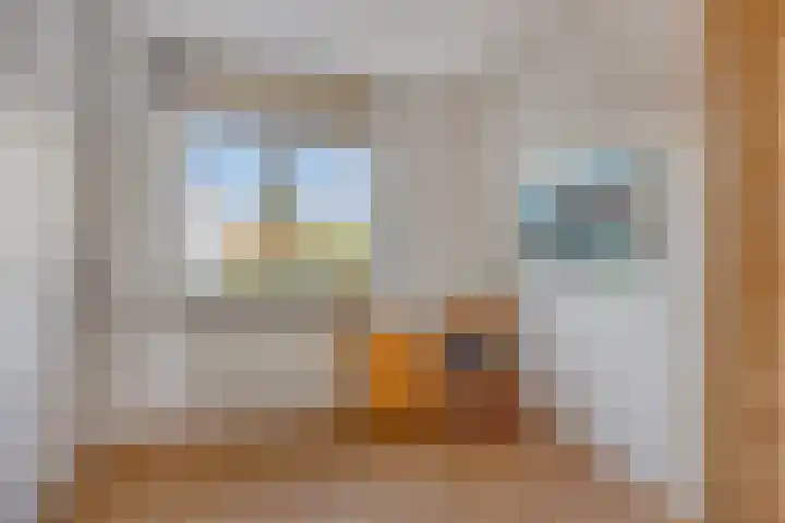 Aldengoor 23 Almelo thumbnail 20
