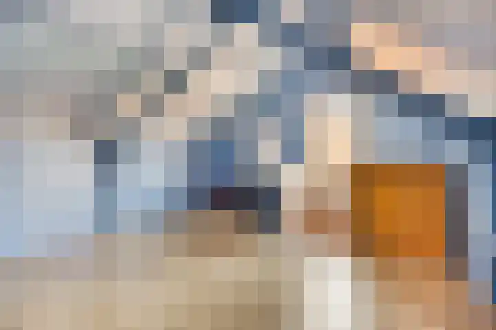 Aldengoor 23 Almelo thumbnail 25