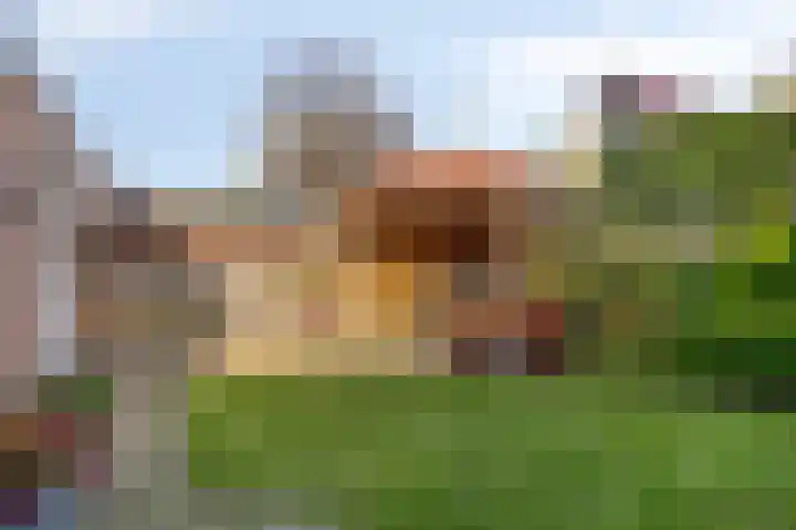 Aldengoor 23 Almelo thumbnail 29