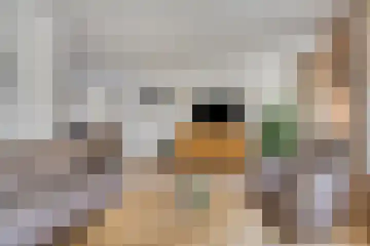 Aldengoor 23 Almelo thumbnail 6