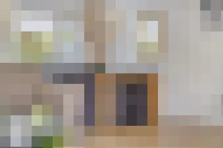 Aldengoor 23 Almelo thumbnail 8