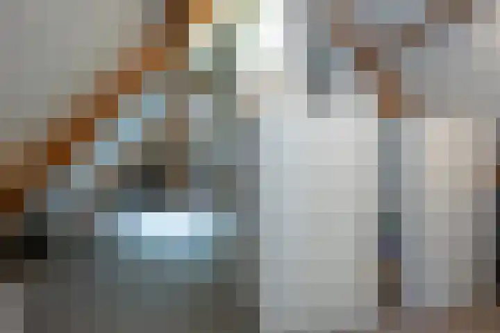 Aldengoor 6 Almelo thumbnail 28