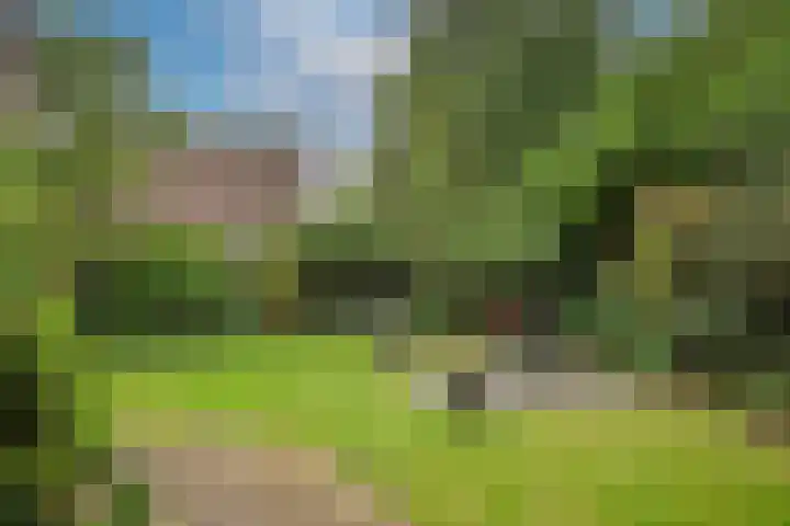 Aldengoor 6 Almelo thumbnail 30