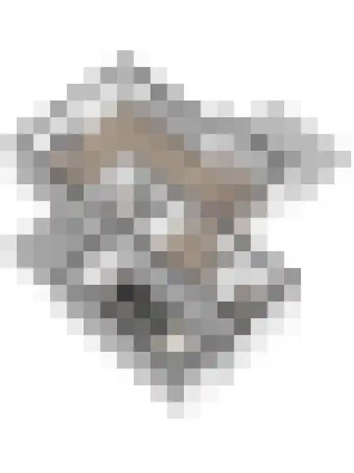 Aldengoor 6 Almelo thumbnail 39