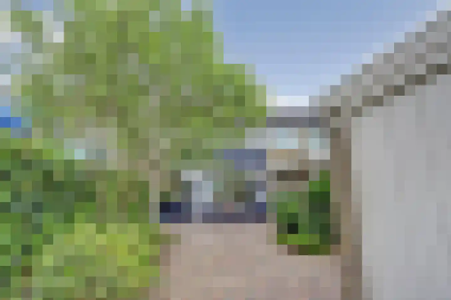 Aldenhaagstraat 14 Arnhem thumbnail 30