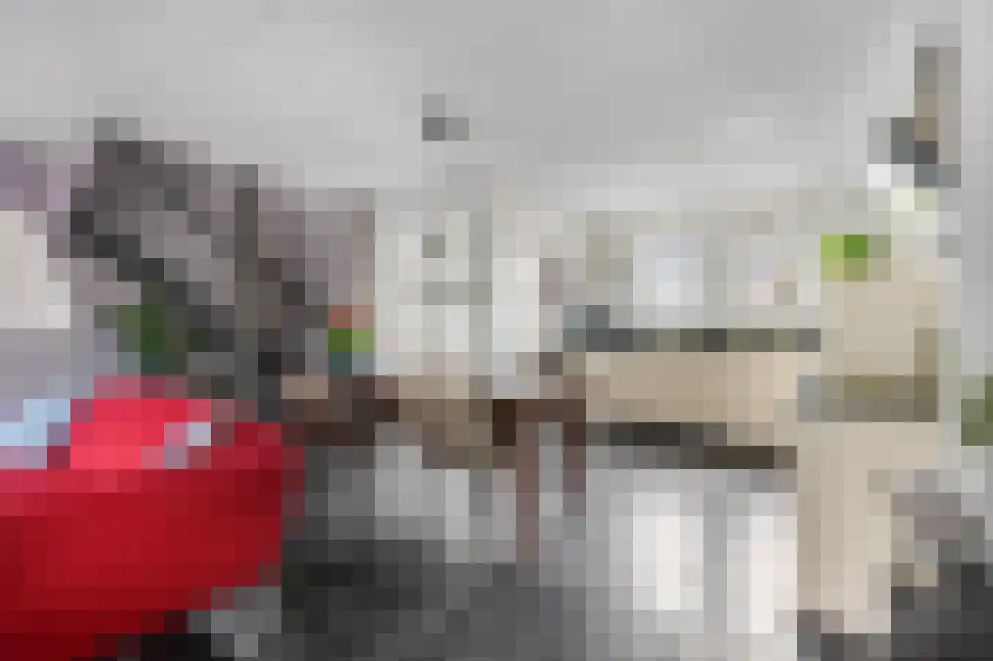 Aldenhagelaan 14 Tiel thumbnail 12