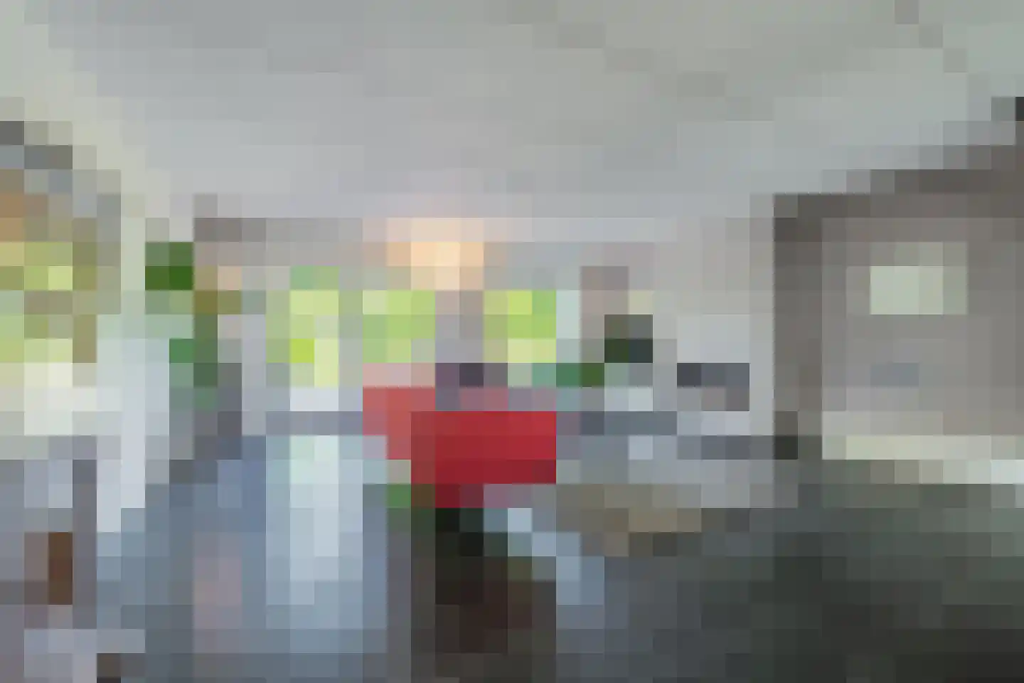 Aldenhagelaan 14 Tiel thumbnail 17