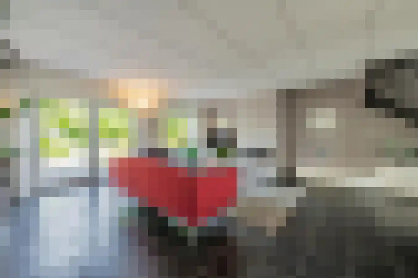 Aldenhagelaan 14 Tiel thumbnail 19