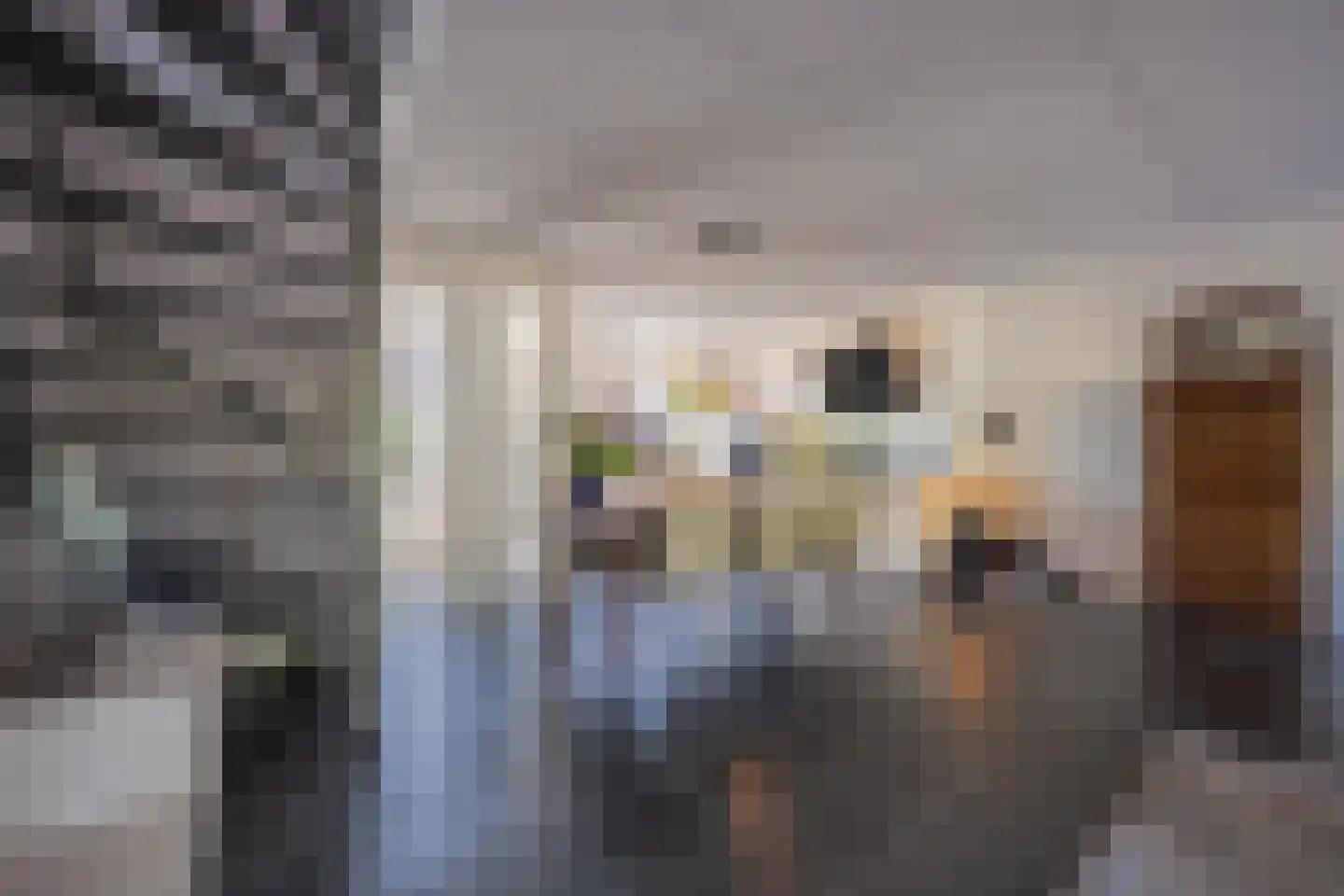 Aldenhagelaan 14 Tiel thumbnail 20
