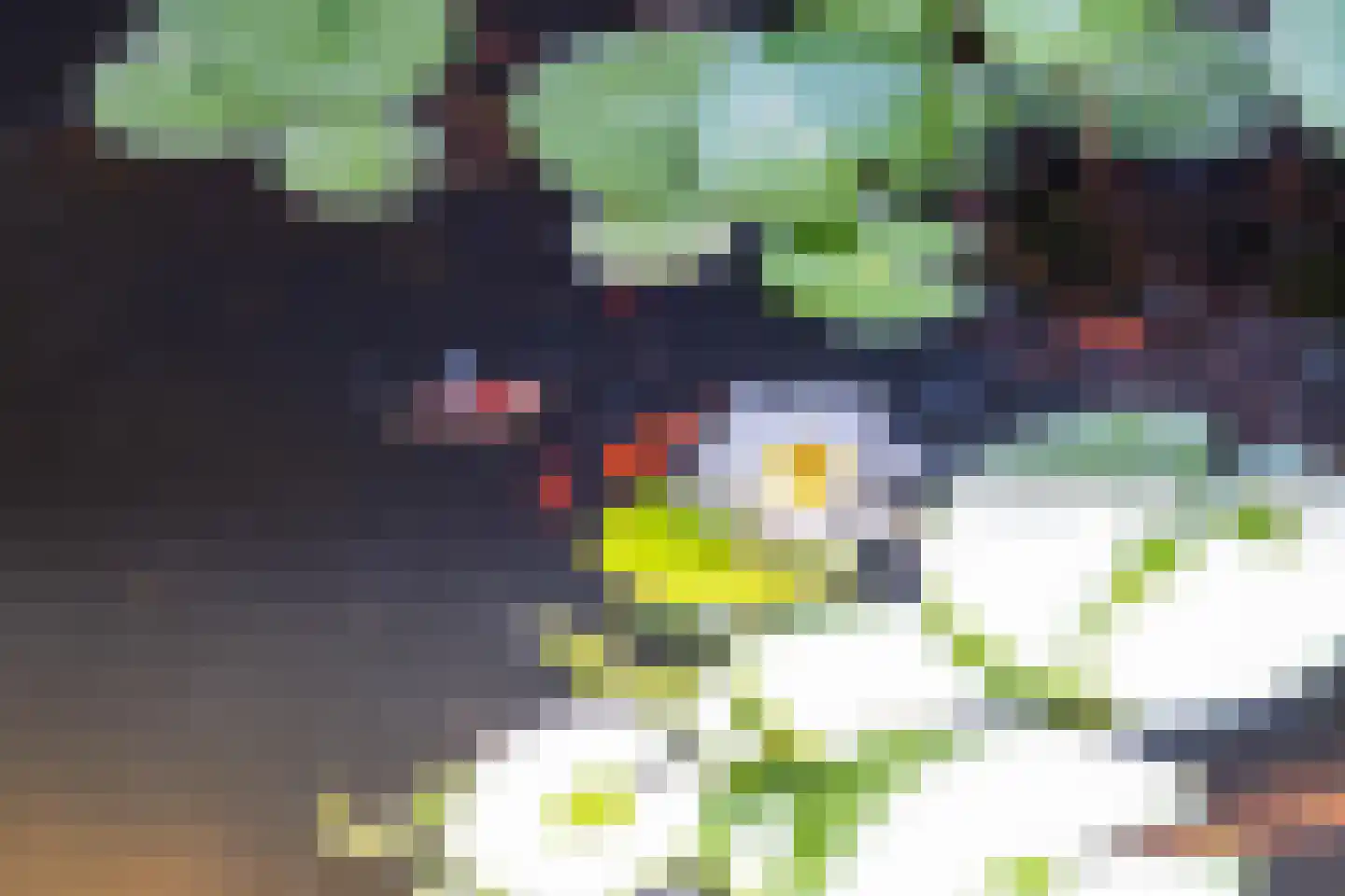 Aldenhagelaan 14 Tiel thumbnail 29