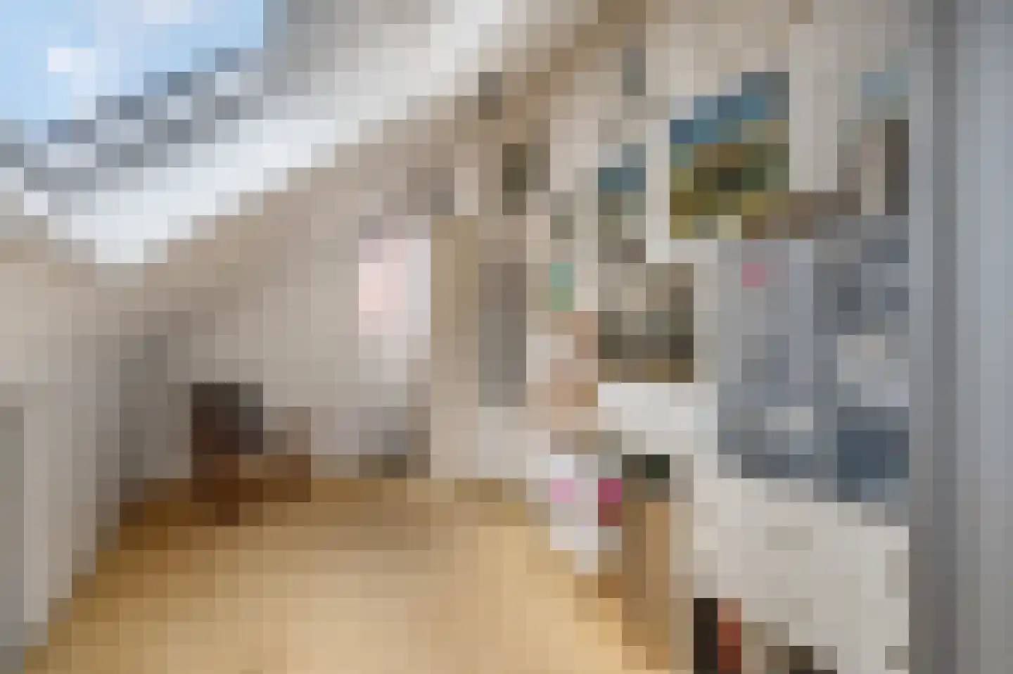 Aldenhagelaan 14 Tiel thumbnail 29