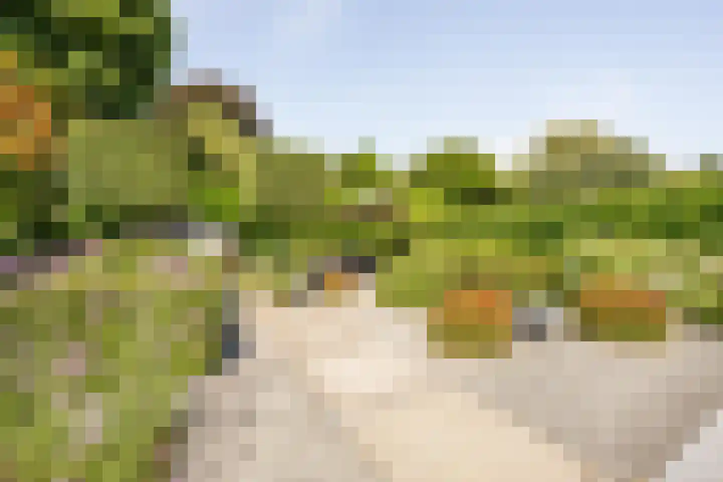 Aldenhagelaan 14 Tiel thumbnail 32