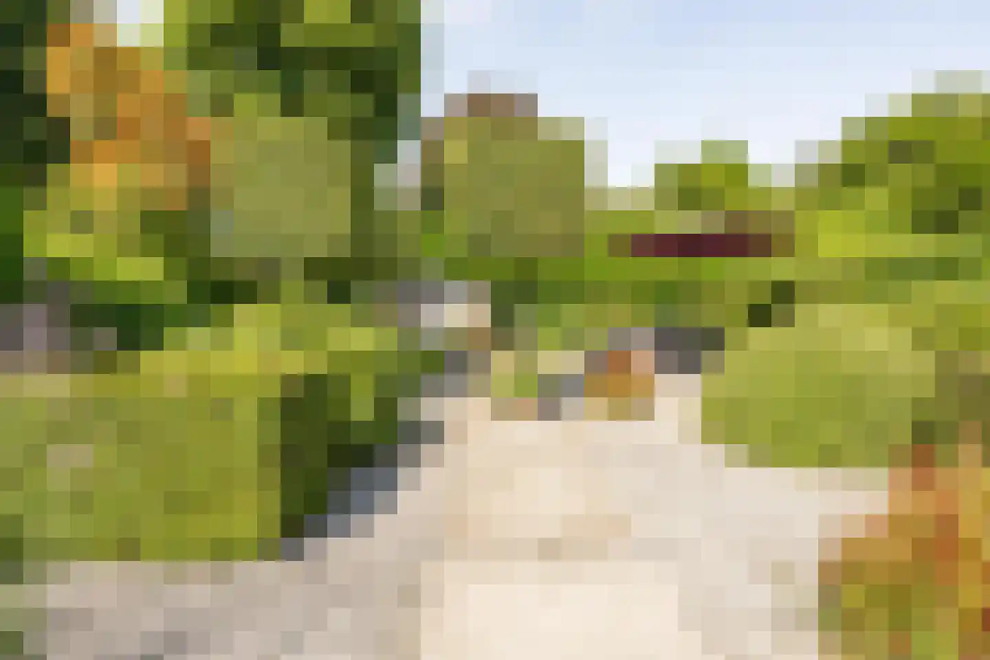 Aldenhagelaan 14 Tiel thumbnail 33