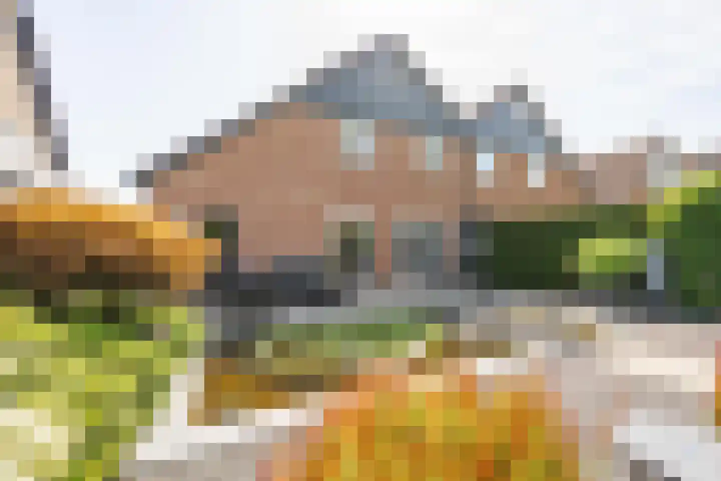 Aldenhagelaan 14 Tiel thumbnail 34