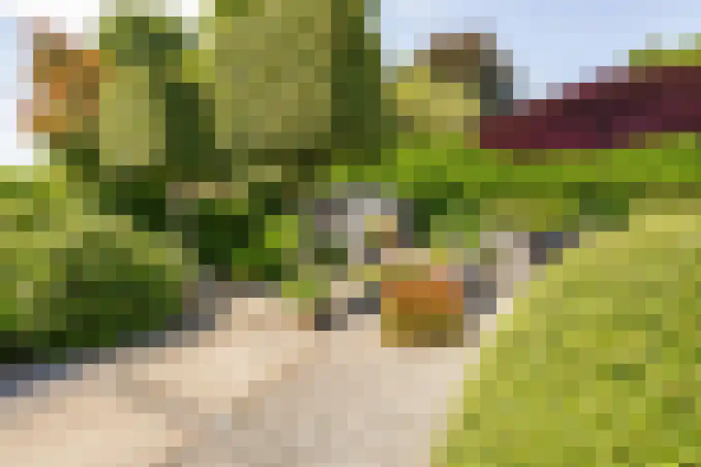 Aldenhagelaan 14 Tiel thumbnail 35