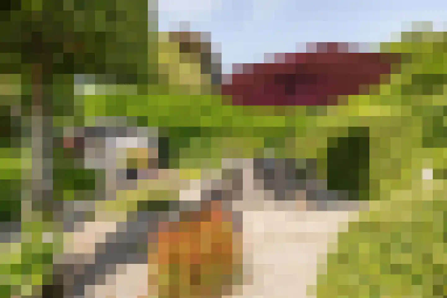Aldenhagelaan 14 Tiel thumbnail 36