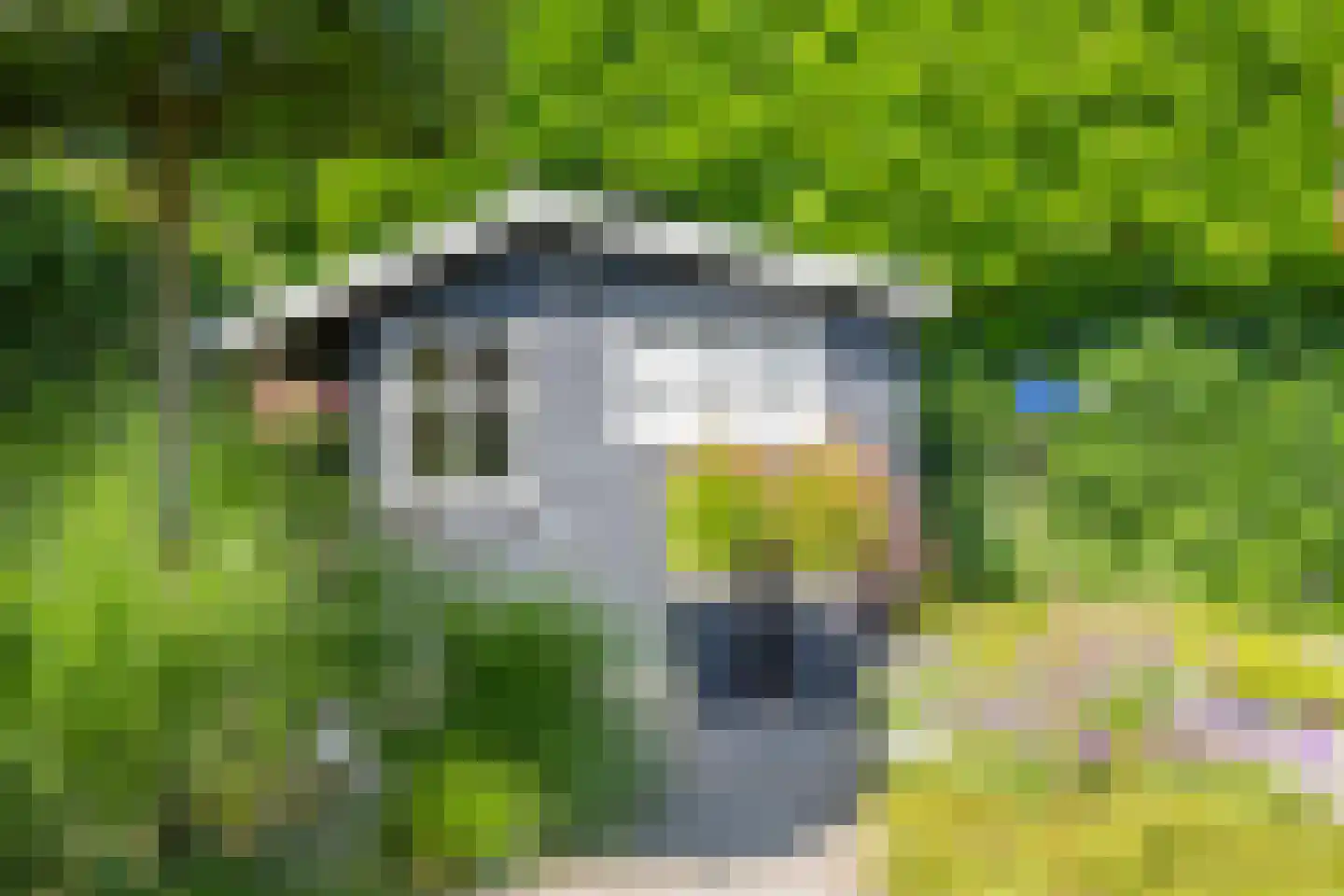 Aldenhagelaan 14 Tiel thumbnail 37