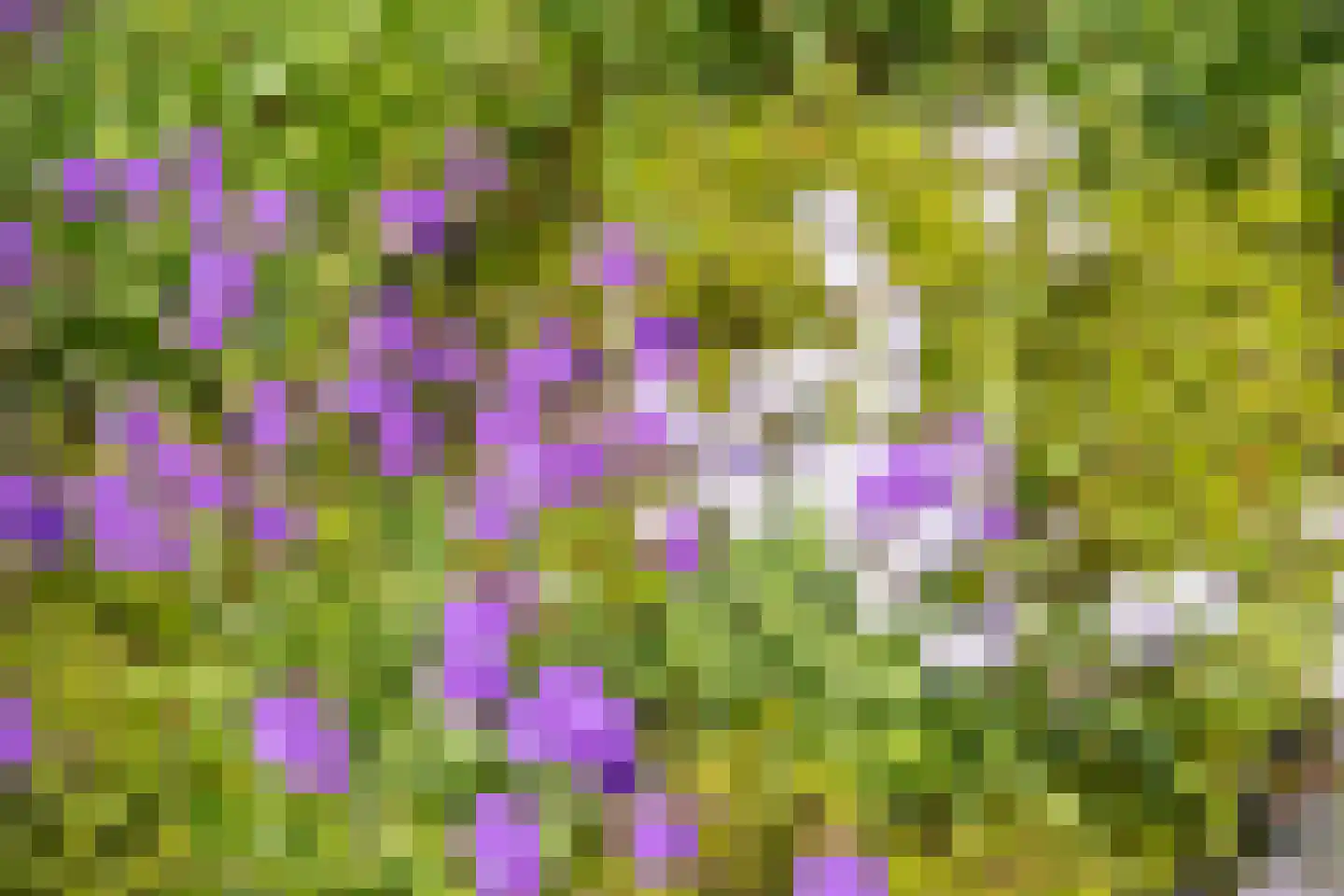 Aldenhagelaan 14 Tiel thumbnail 38