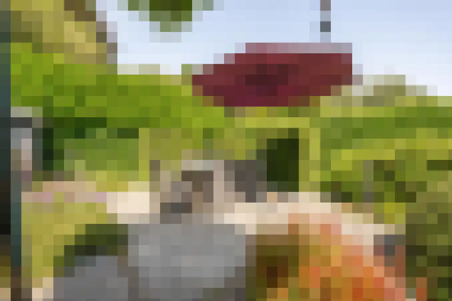 Aldenhagelaan 14 Tiel thumbnail 39