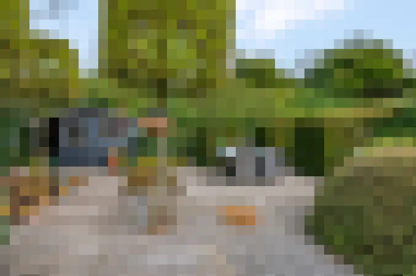 Aldenhagelaan 14 Tiel thumbnail 4