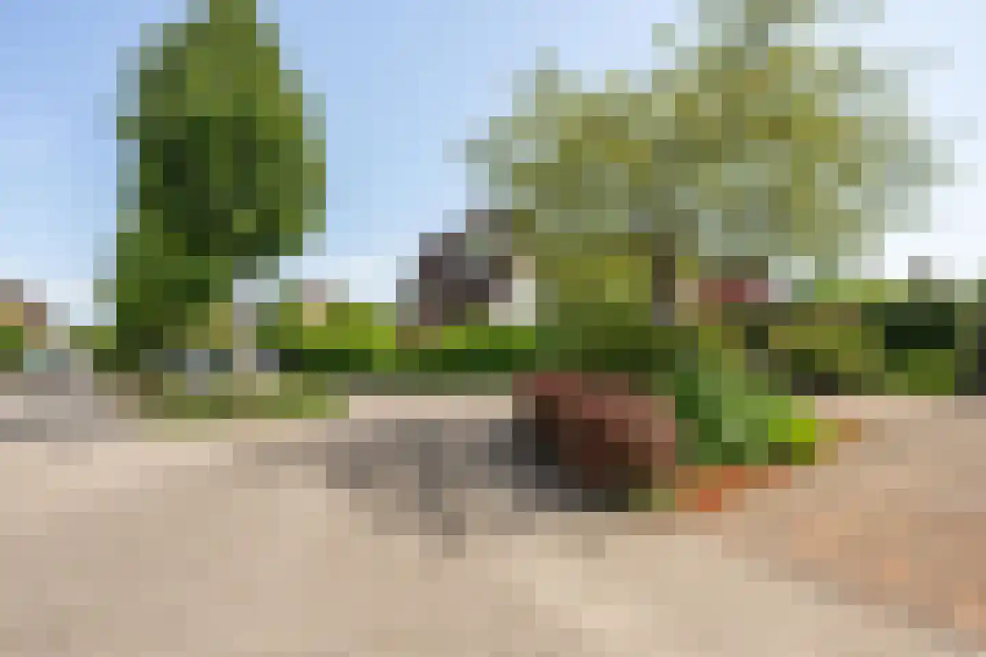 Aldenhagelaan 14 Tiel thumbnail 4