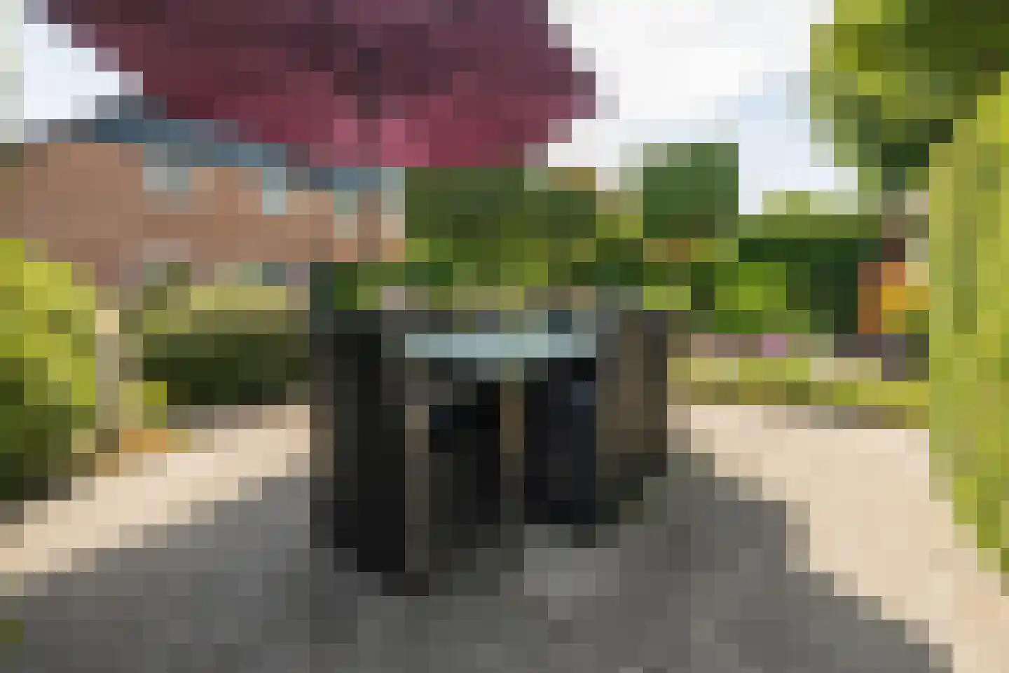Aldenhagelaan 14 Tiel thumbnail 41