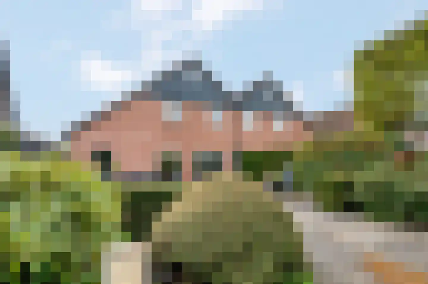 Aldenhagelaan 14 Tiel thumbnail 43
