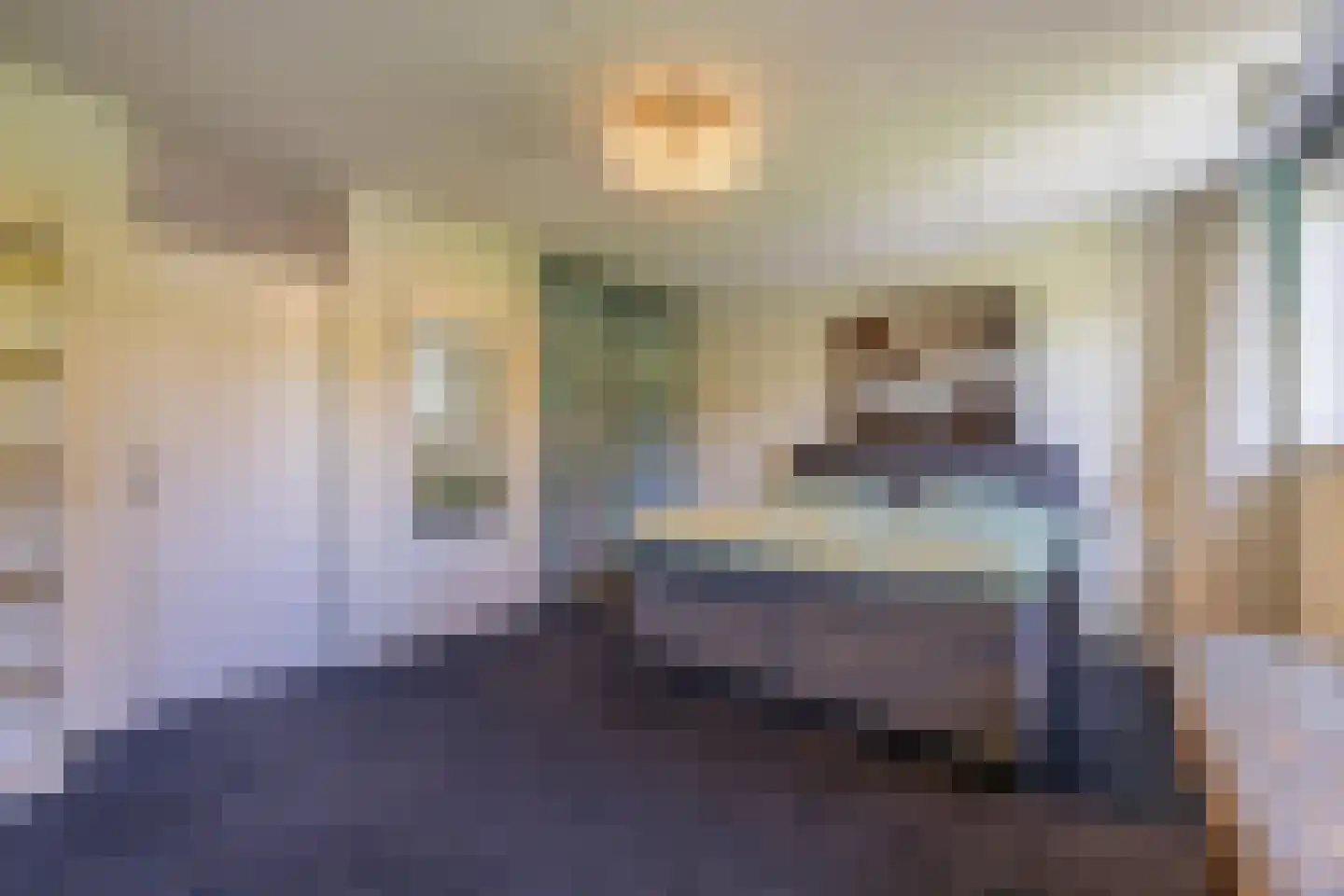 Aldenhagelaan 14 Tiel thumbnail 47