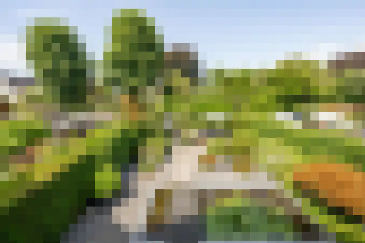 Aldenhagelaan 14 Tiel thumbnail 48