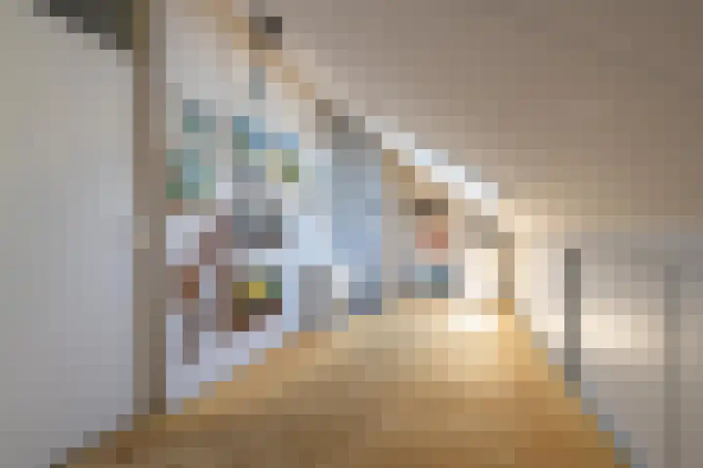 Aldenhagelaan 14 Tiel thumbnail 51