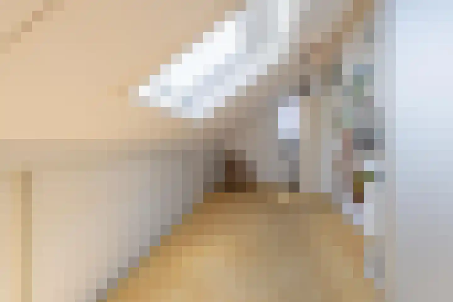 Aldenhagelaan 14 Tiel thumbnail 52