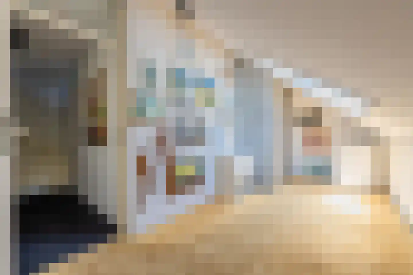 Aldenhagelaan 14 Tiel thumbnail 53