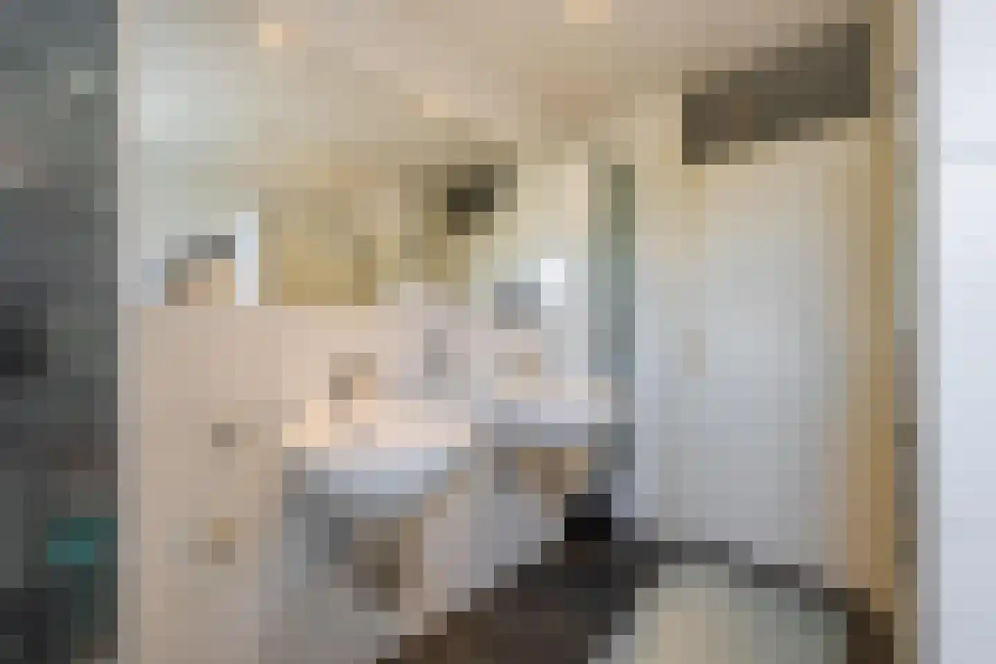 Aldenhagelaan 14 Tiel thumbnail 60