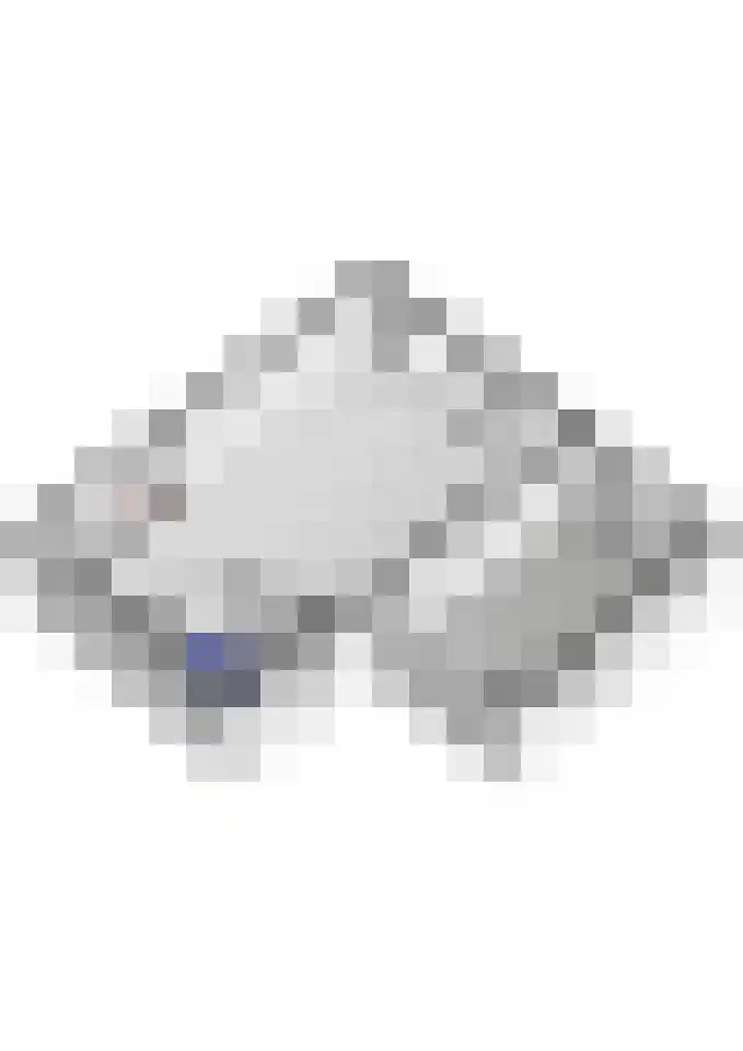 Aldenhagelaan 14 Tiel thumbnail 66