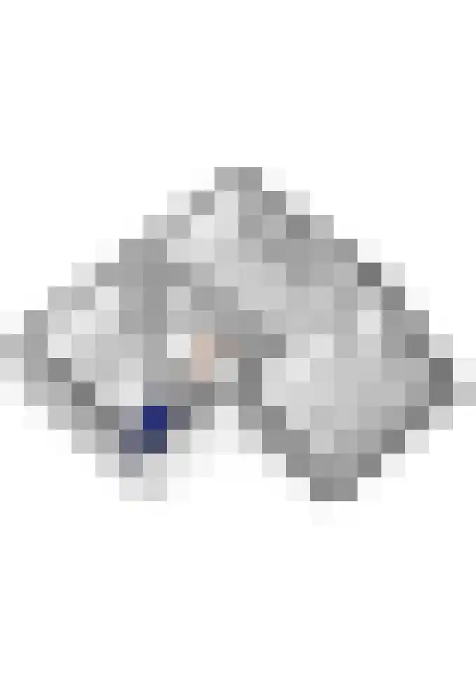 Aldenhagelaan 14 Tiel thumbnail 68