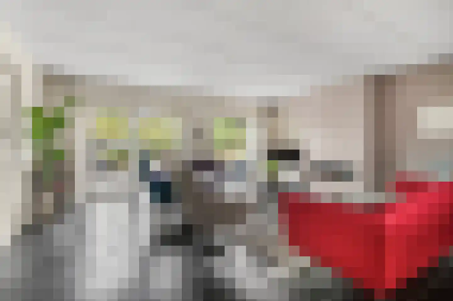 Aldenhagelaan 14 Tiel thumbnail 7