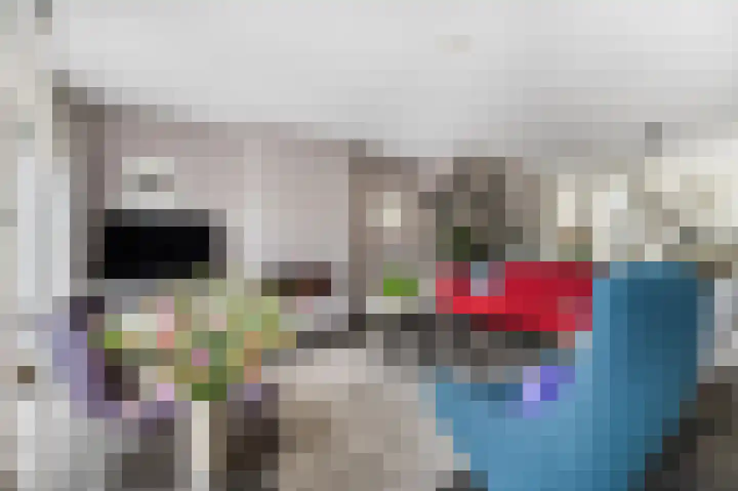 Aldenhagelaan 14 Tiel thumbnail 9