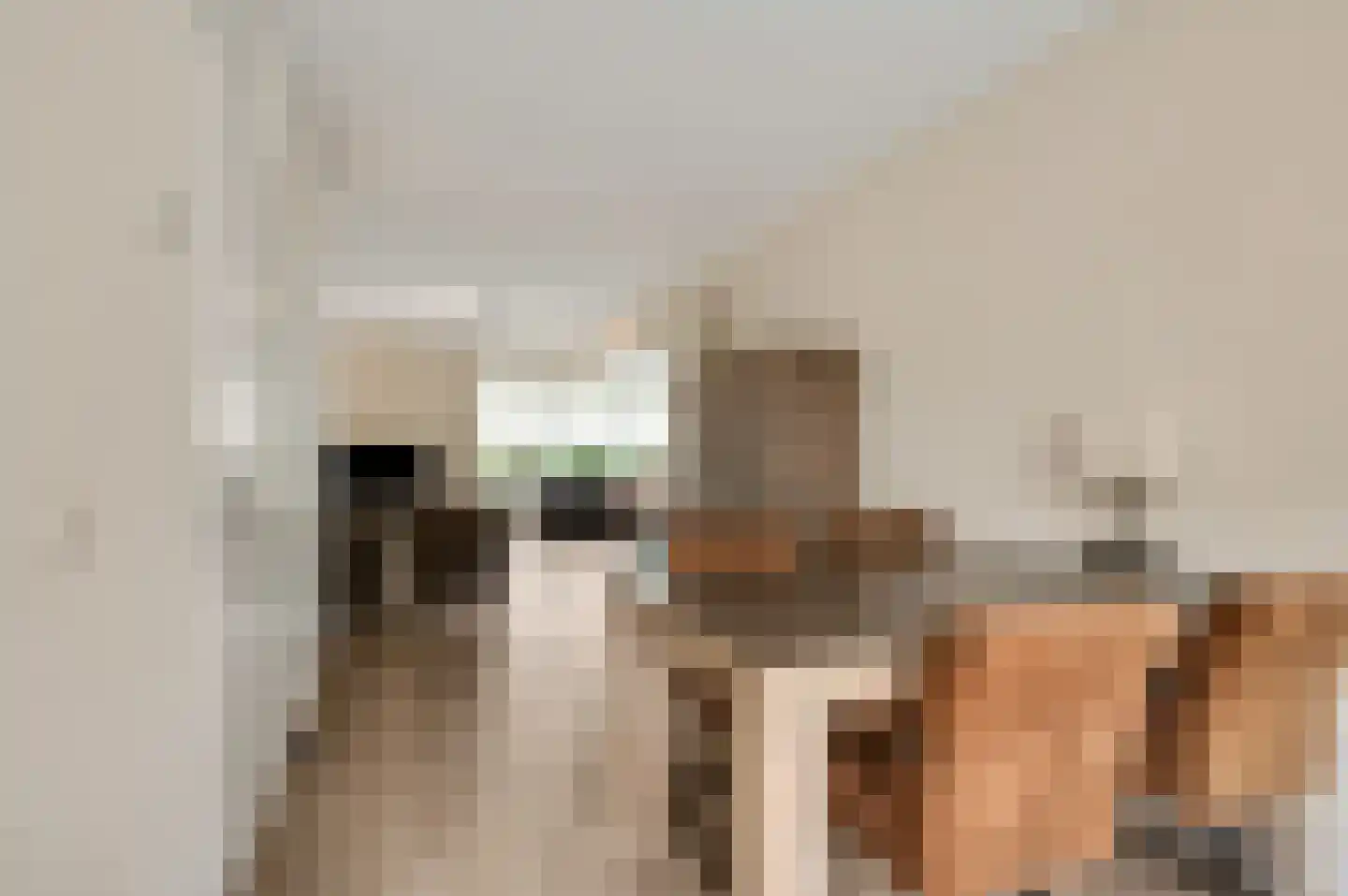 Aldenhagelaan 17 Tiel thumbnail 12