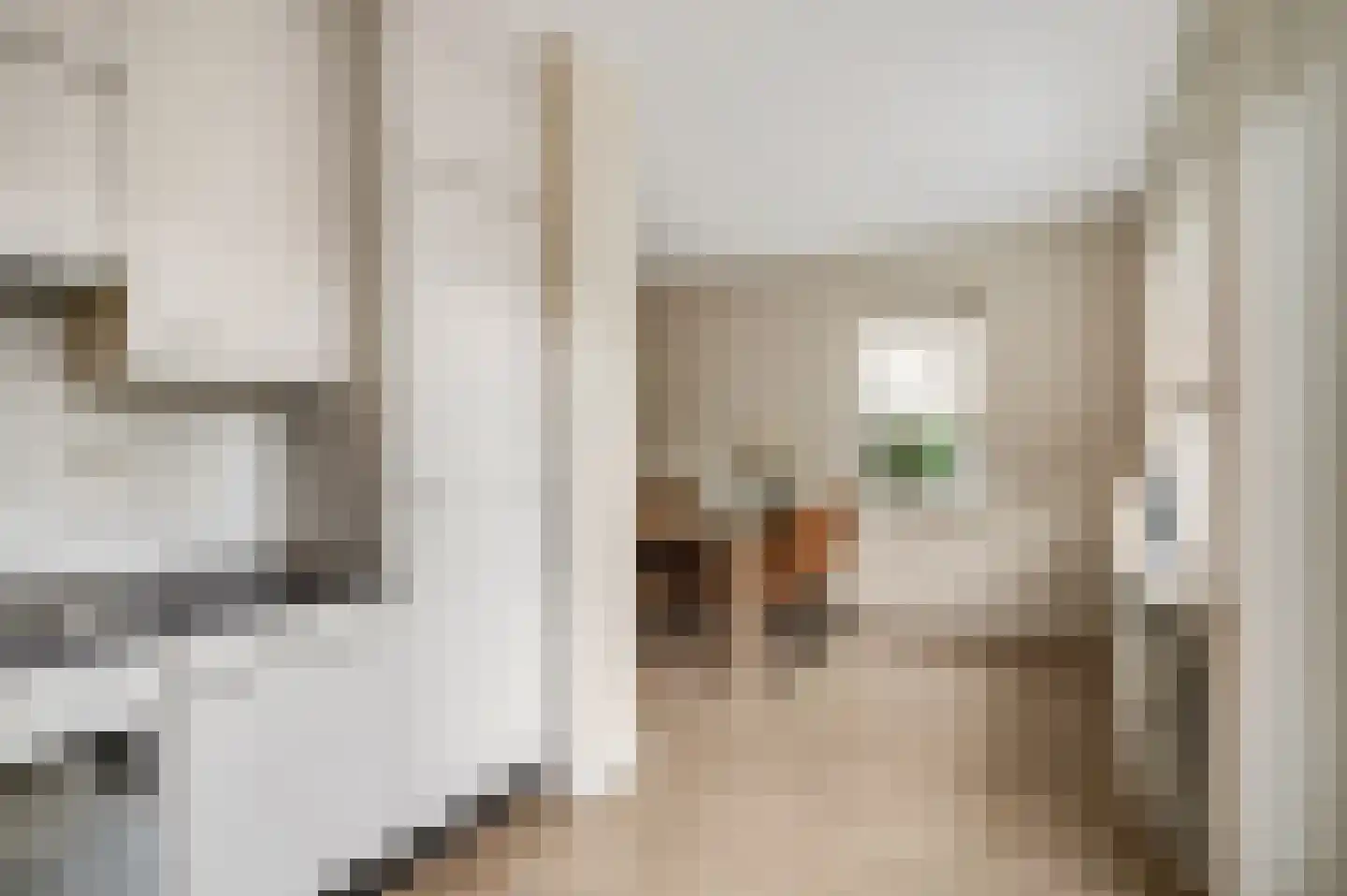 Aldenhagelaan 17 Tiel thumbnail 15