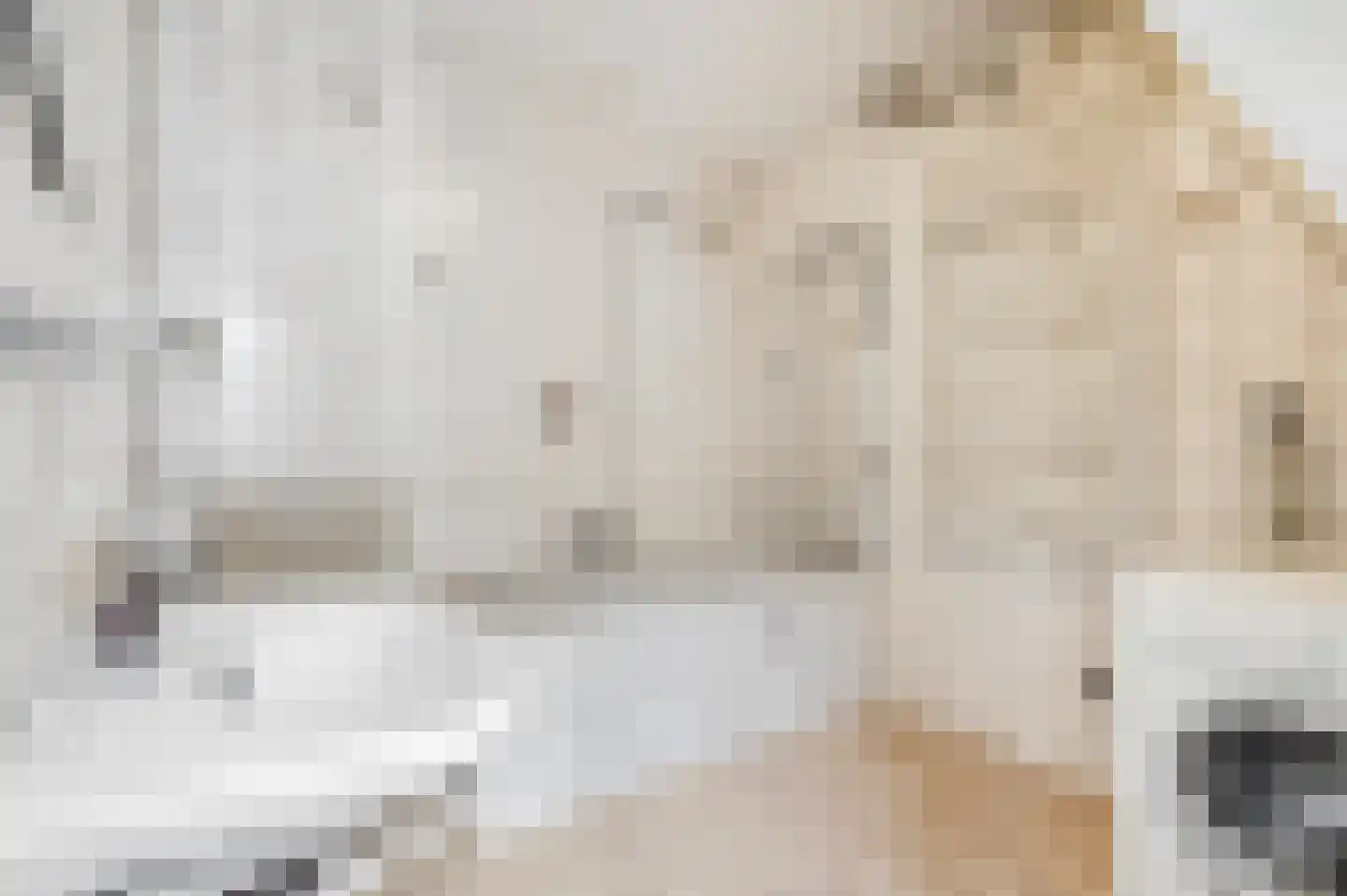 Aldenhagelaan 17 Tiel thumbnail 24
