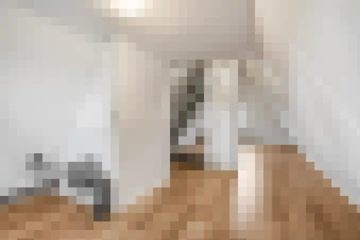 Aldenhagelaan 17 Tiel thumbnail 31
