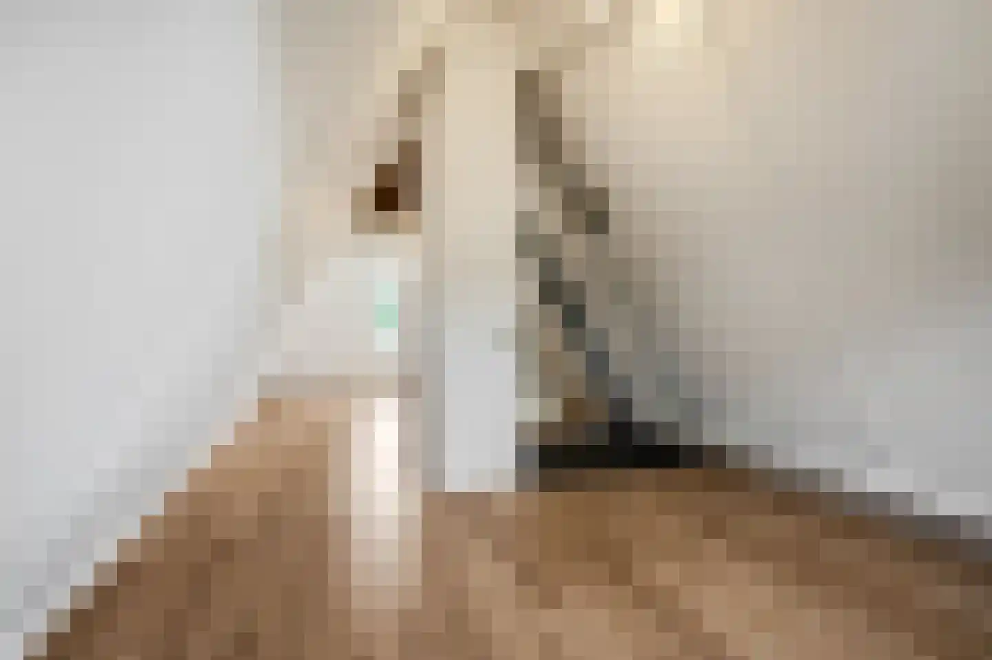 Aldenhagelaan 17 Tiel thumbnail 32