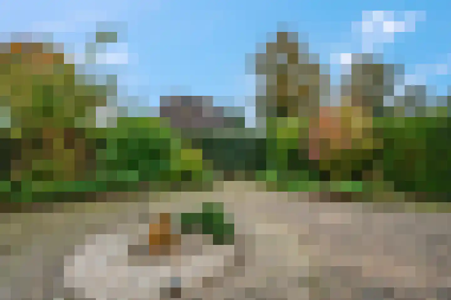 Aldenhagelaan 17 Tiel thumbnail 33