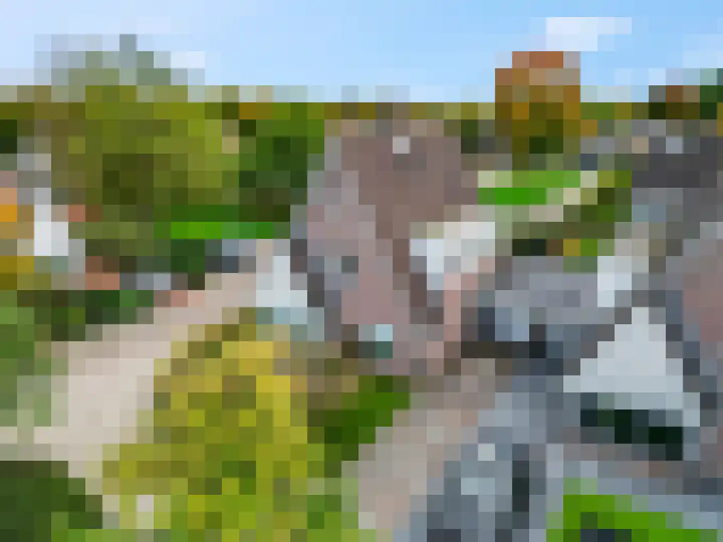 Aldenhagelaan 17 Tiel thumbnail 40