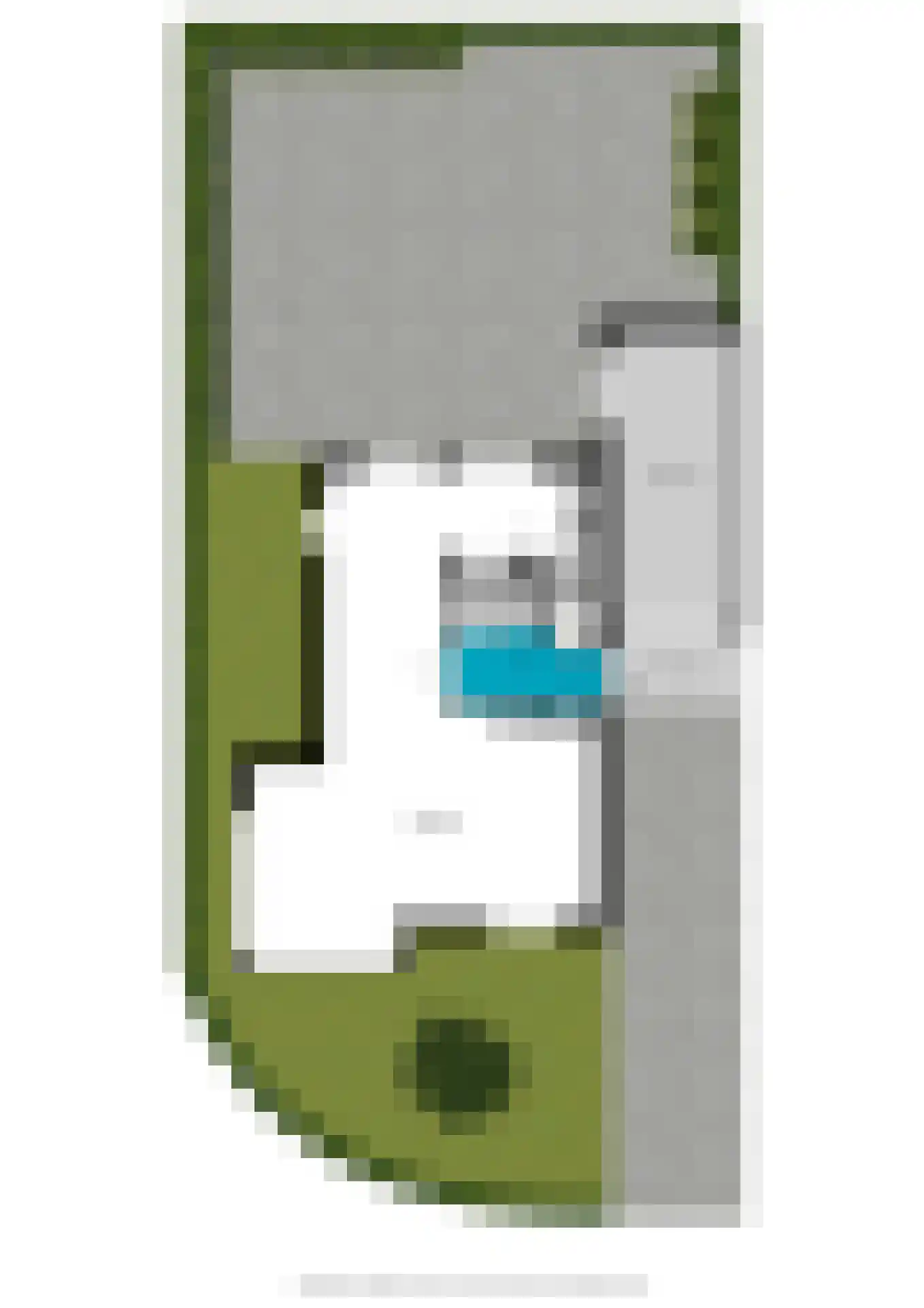 Aldenhagelaan 17 Tiel thumbnail 45