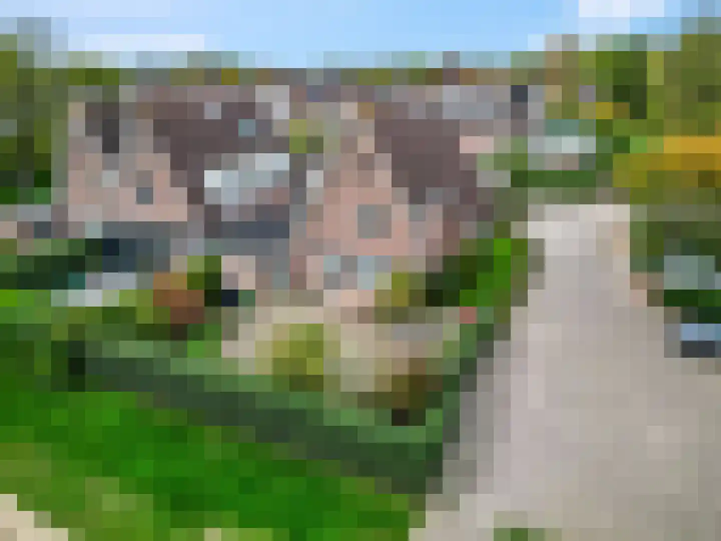 Aldenhagelaan 17 Tiel thumbnail 5