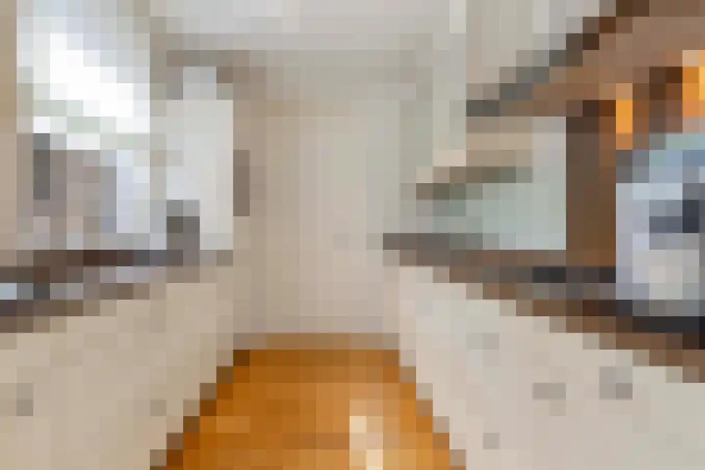 Aldenhof 13 Baarlo thumbnail 15