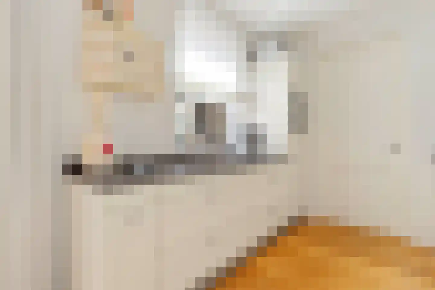 Aldenhof 13 Baarlo thumbnail 18