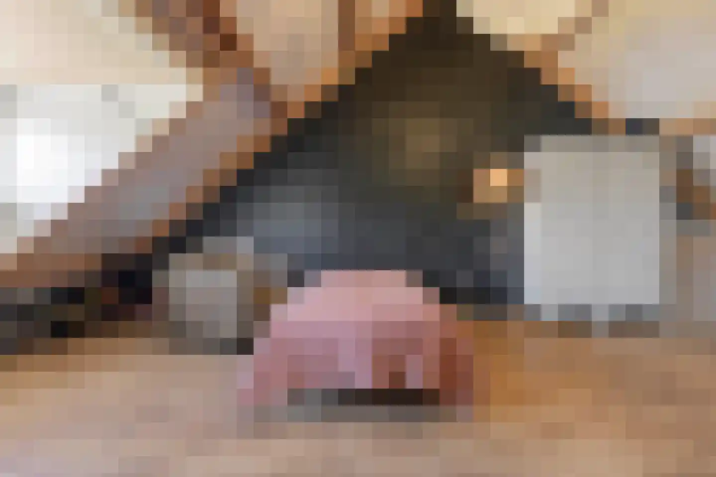 Aldenhof 13 Baarlo thumbnail 30